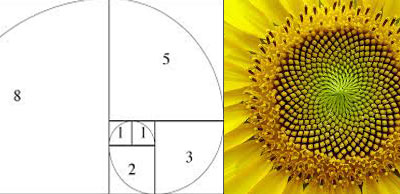 retracao fibonacci