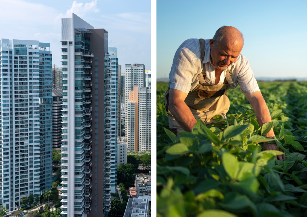 Fotocolagem imóveis de um lado representando o LCI e um agricultor de outro representando LCA: opções para investir o 13º salario